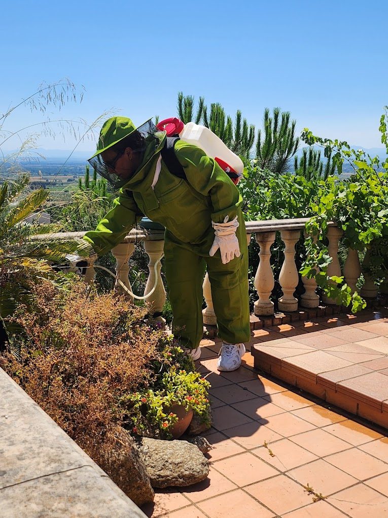 Technicien Catalan Anti Nuisibles en intervention sur une terrasse dans les Pyrénées-Orientales