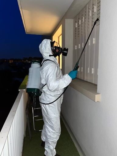 Traitement de nuisibles sur des boîtes aux lettres en copropriété